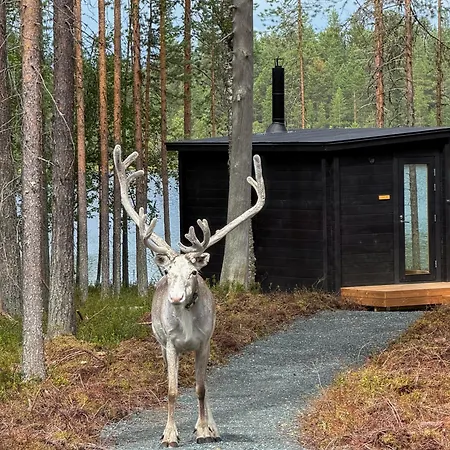 New 2026 Aidu Private Lakefront Ruka, 2 Saunas Semesterbostad *